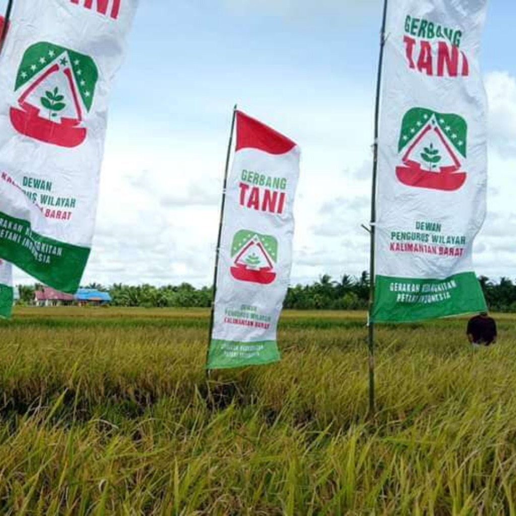 Rencana Impor Beras, Gerbang Tani Siap kawal Petani