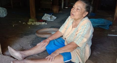 Pohon Jatinya Tumbang, Nenek ini Didenda 10 Juta