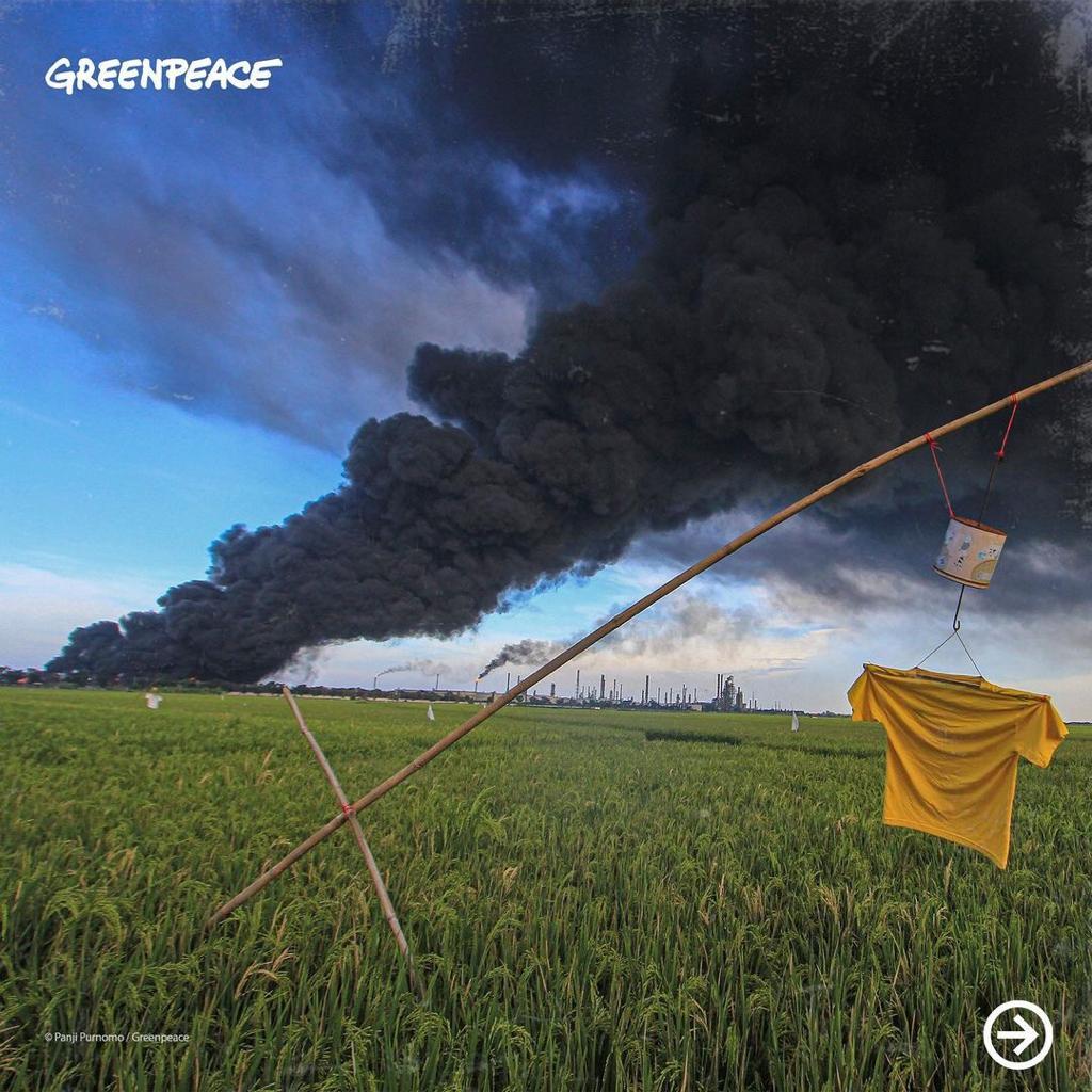 Buntut Kebakaran Kilang Pertamina, Greenpeace Desak Pemerintah