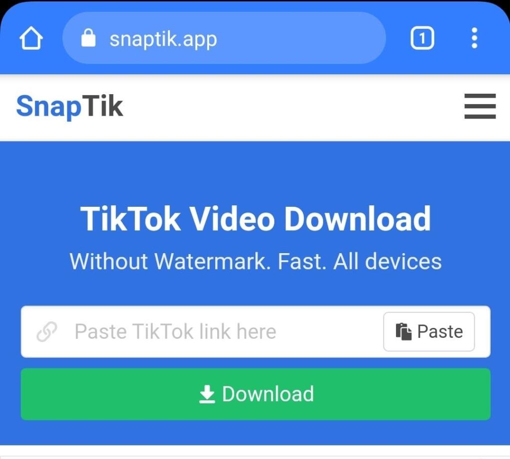 ikTok Download SnapTik