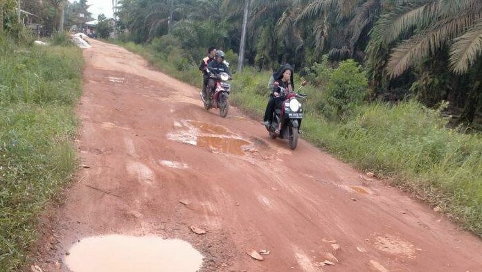 Jalan Romadhon-Air Medang Rusak Parah, Fahri: PT Agrolestari Subur Sejahtera/Agrolestari Hijau Sentosa Harus Bertanggung Jawab