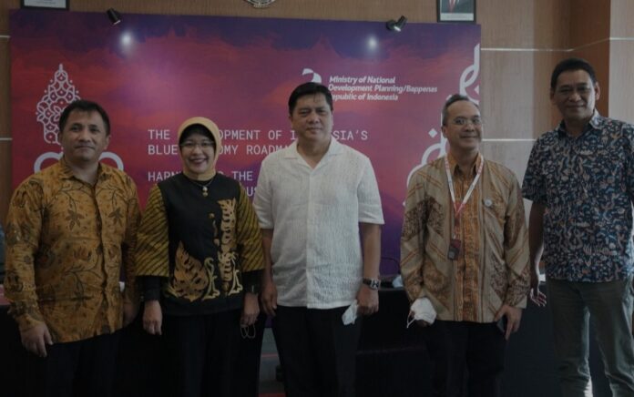 Bappenas Siapkan DMM 2022, 'The Development of Indonesia's Blue Economy Roadmap'