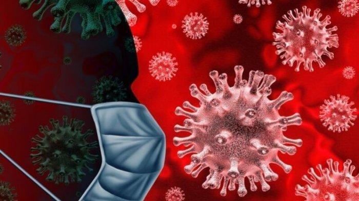 Anggota DPR RI Ingatkan Penekanan Kasus Virus Pada Masa Liburan Nataru