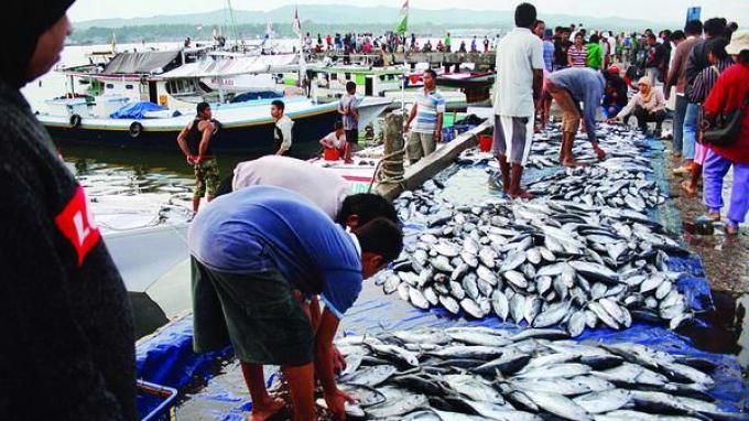Dorong Revisi UU Perlindungan Nelayan, Komisi IV : Agar Nelayan Dapat Pupuk Subsidi