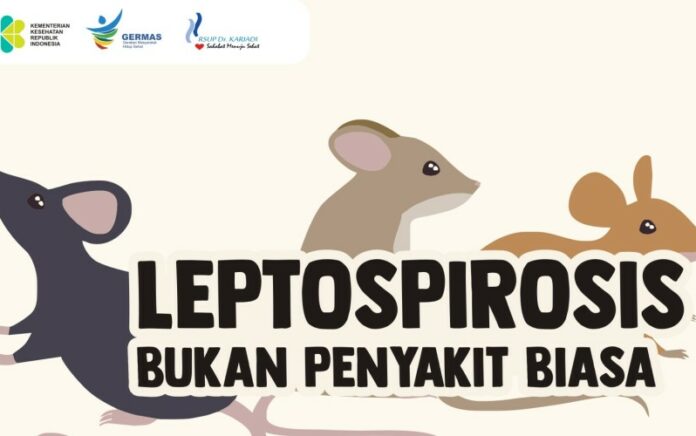 Leptospirosis