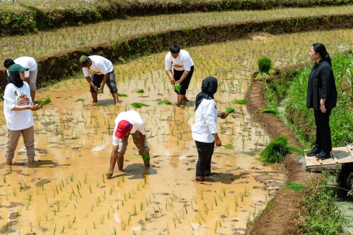 Puan Maharani Resmikan Program Bisnis Petani Milenial