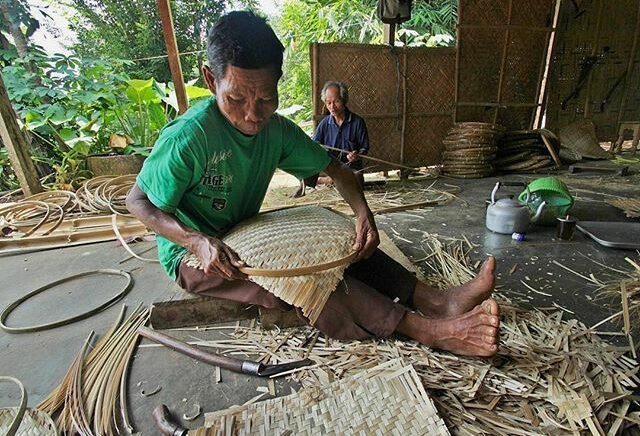 Bambu Muntuk