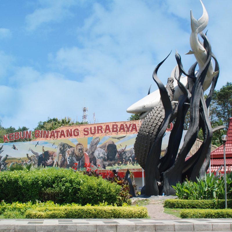Komisi IV DPR RI Kunjungi Kebun Binatang Surabaya