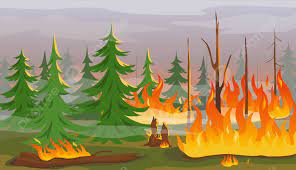 20 Lahan Hektar Milik Masyarakat Di Natuna Kebakaran