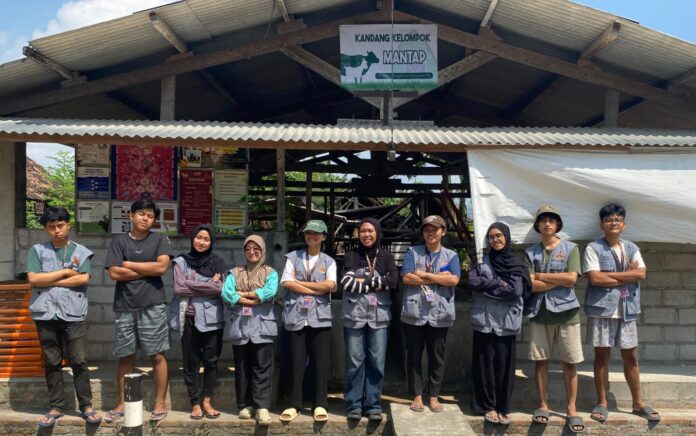 KKN-PPM 93 UMBY Berdayakan Kelompok ternak Dusun Karangtalun